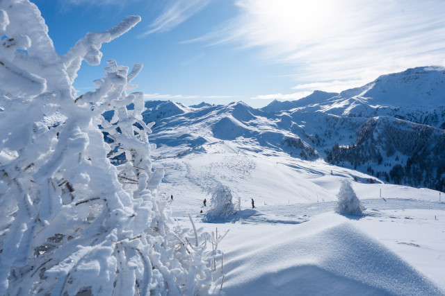 dsc06003-2562225 dsc06003-2562225