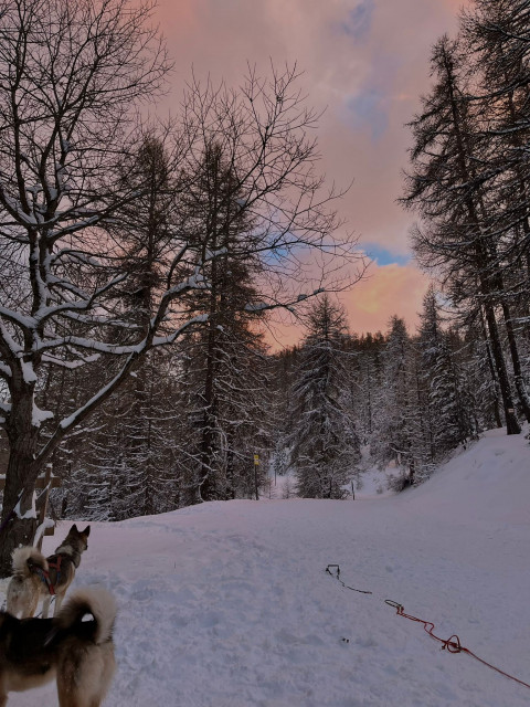 img-20241223-wa0009-2248933 img-20241223-wa0009-2248933