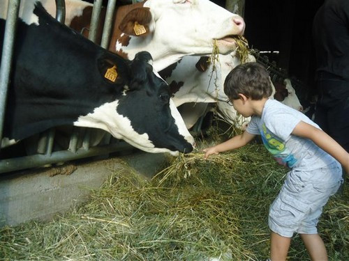 La ferme de chagne Risoul 