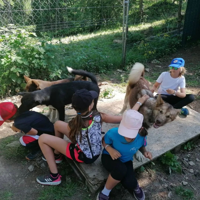 mercredi-des-enfants-1969498 mercredi-des-enfants-1969498