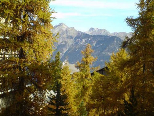 risoul-hebergement-oreedubois-a217-vue-otim-10684