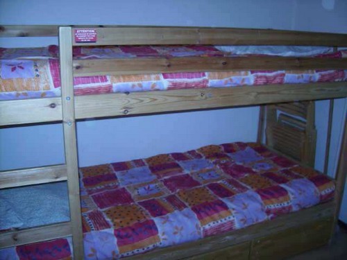 risoul-hebergement-soldannelle-coin-montagne-3286