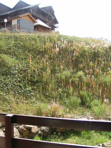 risoul-hebergement-urbania-belvedere-104-vue-2193