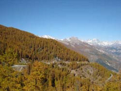 risoul-hebergement-urbania-belvedere609-vue-4164