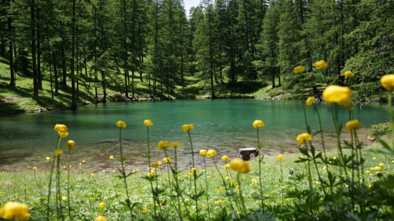 Lac du pré du laus