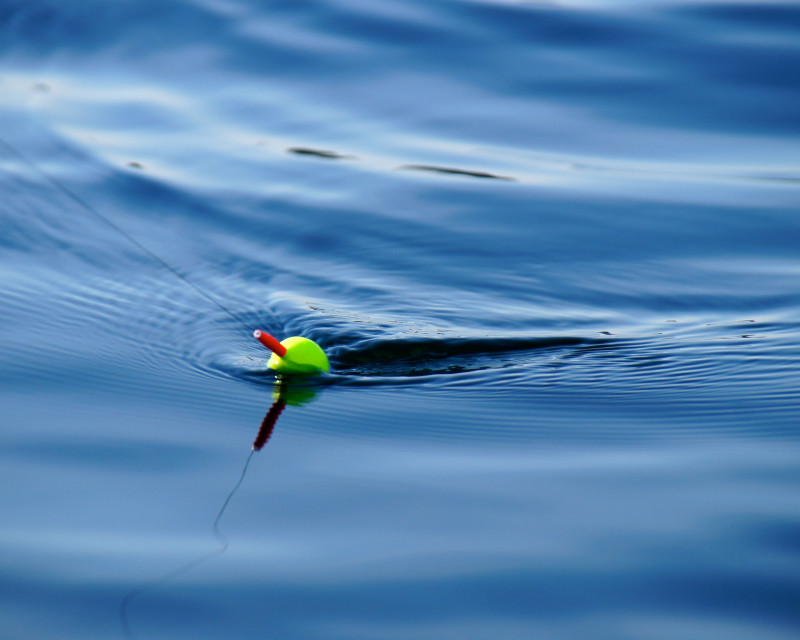 zab-consulting-qtxaxnja3oy-unsplash-482683